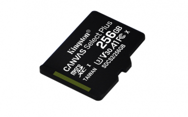 SD-Karte Micro 256 GB